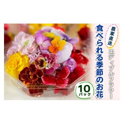 農家直送!加藤さんちのエディブルフラワー 10パック (1パックあたり季節のお花15輪から30輪)