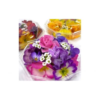 農家直送!加藤さんちのエディブルフラワー 10パック (1パックあたり季節のお花15輪から30輪)