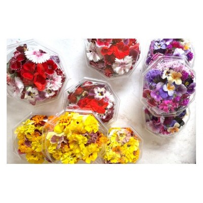 農家直送!加藤さんちのエディブルフラワー 20パック (1パックあたり季節のお花15輪から30輪)