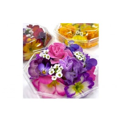 農家直送!加藤さんちのエディブルフラワー 20パック (1パックあたり季節のお花15輪から30輪)