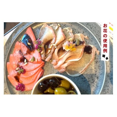 農家直送!加藤さんちのエディブルフラワー 12ポット鉢植え 観賞用 食用 トッピング