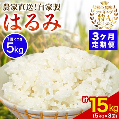 【毎月定期便】合計15kg 精米 はるみ 5kg 加藤さんちのうんめぇ米全3回