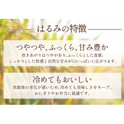 【毎月定期便】合計30kg 精米 はるみ 10kg 加藤さんちのうんめぇ米全3回