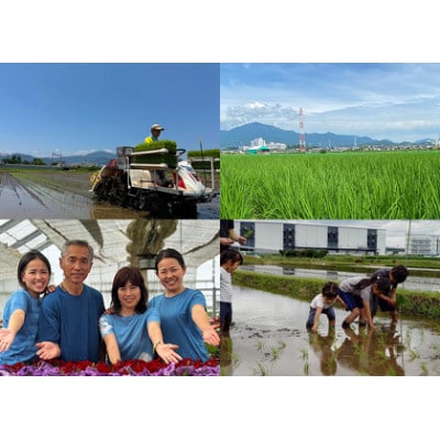 【毎月定期便】合計30kg 精米 てんこもり 5kg 加藤さんちのうんめぇ米全6回