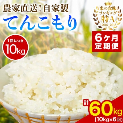 【毎月定期便】合計60kg 精米 てんこもり10kg 加藤さんちのうんめぇ米全6回