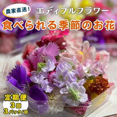 【毎月定期便】加藤さんちのエディブルフラワー3パック (1パックあたり季節のお花15～30輪)全3回