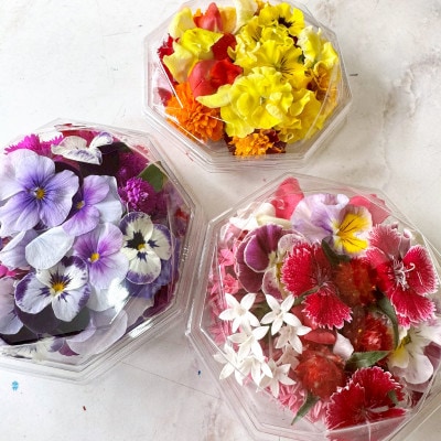 【毎月定期便】加藤さんちのエディブルフラワー3パック (1パックあたり季節のお花15～30輪)全3回