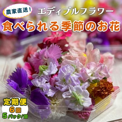 【毎月定期便】加藤さんちのエディブルフラワー5パック (1パックあたり季節のお花15～30輪)全6回