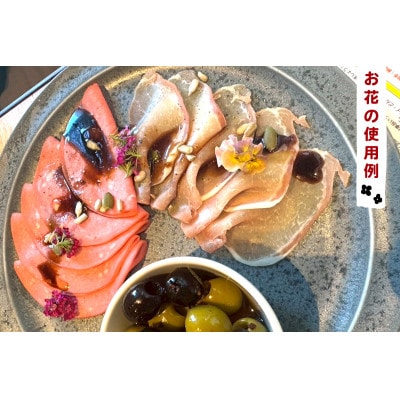 【毎月定期便】加藤さんちのエディブルフラワー5パック (1パックあたり季節のお花15～30輪)全6回