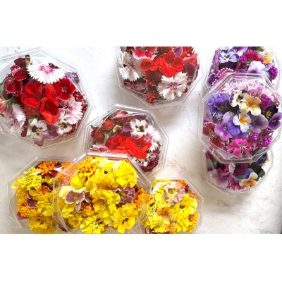 【毎月定期便】加藤さんちのエディブルフラワー5パック (1パックあたり季節のお花15～30輪)全6回