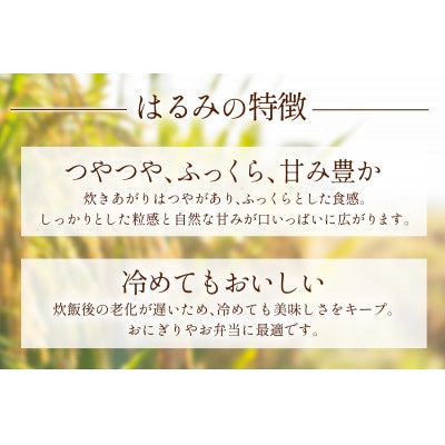 【発送月固定定期便】11月下旬より出荷予定　合計15kg 精米 はるみ5kg全3回