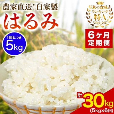 【発送月固定定期便】11月下旬から出荷予定　合計30kg 精米 はるみ5kg全6回