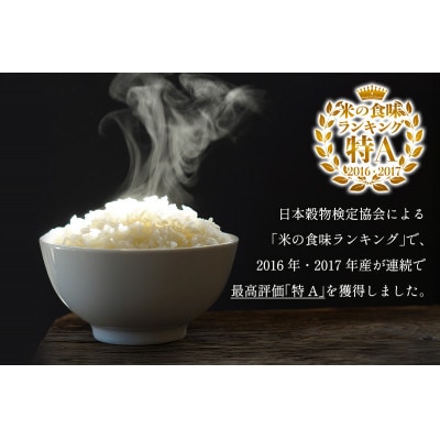 【発送月固定定期便】11月下旬から出荷予定　合計30kg 精米 はるみ5kg全6回
