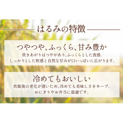 【発送月固定定期便】11月上旬から出荷予定　合計30kg 精米 はるみ5kg全6回