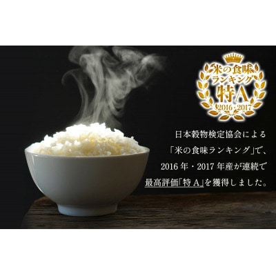 【発送月固定定期便】11月上旬から出荷予定　合計30kg 精米 はるみ5kg全6回