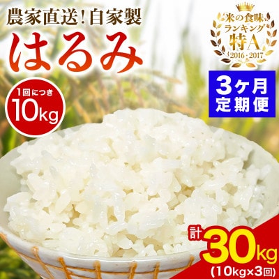 【発送月固定定期便】11月中旬から出荷予定　合計30kg 精米 はるみ10kg全3回