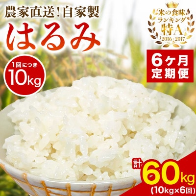 【発送月固定定期便】11月下旬から出荷予定　合計60kg 精米 はるみ10kg全6回