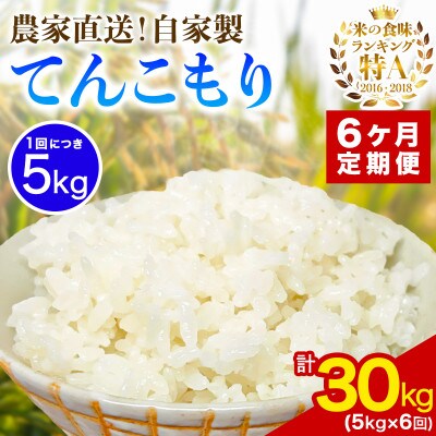 【発送月固定定期便】11月上旬から出荷予定　合計30kg 精米 てんこもり5kg全6回