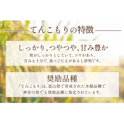 【発送月固定定期便】11月下旬から出荷予定　合計30kg 精米 てんこもり10kg全3回
