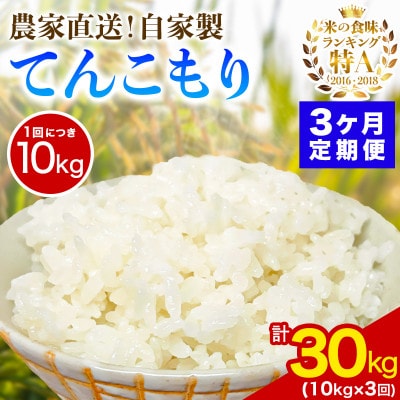 【発送月固定定期便】11月上旬から出荷予定　合計30kg 精米 てんこもり10kg全3回