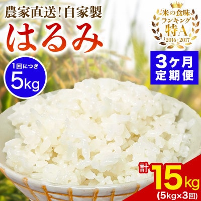 【毎月定期便】合計15kg 伊勢原産 精米5kg はるみ 農家直送!加藤さんちの米全3回
