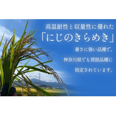 【毎月定期便】合計15kg 伊勢原産 精米にじのきらめき 5kg 農家直送全3回