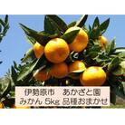 [2026年1月下旬頃から発送] 伊勢原市あかざと園のみかん 5kg 品種おまかせ