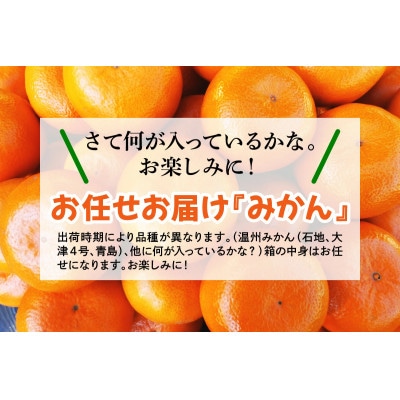[2026年1月下旬頃から発送] 伊勢原市あかざと園のみかん 5kg 品種おまかせ