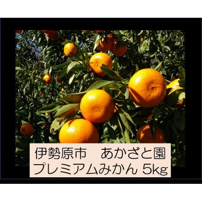 [2026年1月下旬頃から発送] 伊勢原市あかざと園のプレミアムみかん 5kg 品種おまかせ