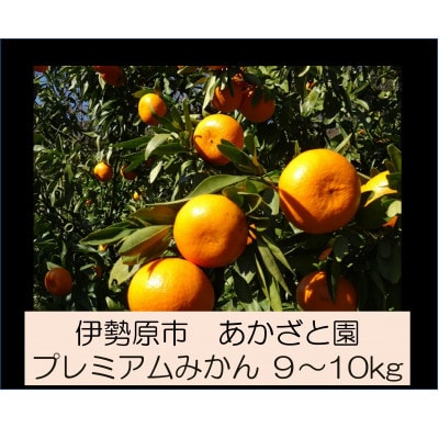 [2026年1月下旬頃から発送] 伊勢原市あかざと園のプレミアムみかん 9～10kg 品種おまかせ