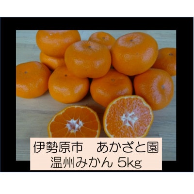 [2026年1月下旬頃から発送] 伊勢原市あかざと園　温州みかん 5kg期待してください!