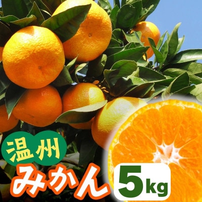 [2026年1月下旬頃から発送] 伊勢原市あかざと園　温州みかん 5kg期待してください!