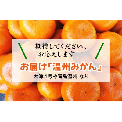 [2026年1月下旬頃から発送] 伊勢原市あかざと園　温州みかん 5kg期待してください!