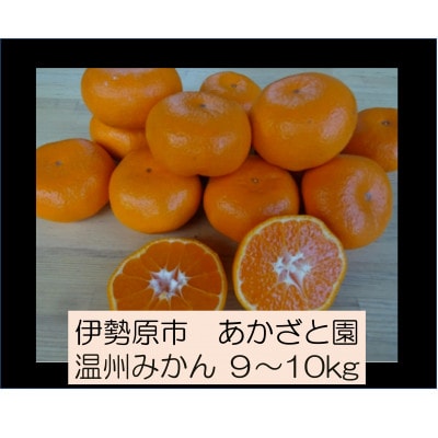 [2026年1月下旬頃から発送] 伊勢原市あかざと園　温州みかん 9kg～10kg期待してください!