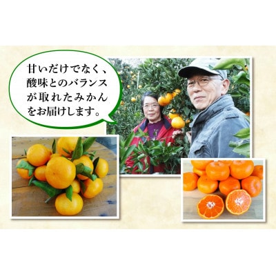 [2026年1月下旬頃から発送] 伊勢原市あかざと園　温州みかん 9kg 期待してください!