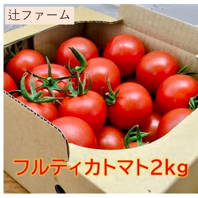 【先行予約】辻ファーム　フルティカトマト 2kg　神奈川県伊勢原市