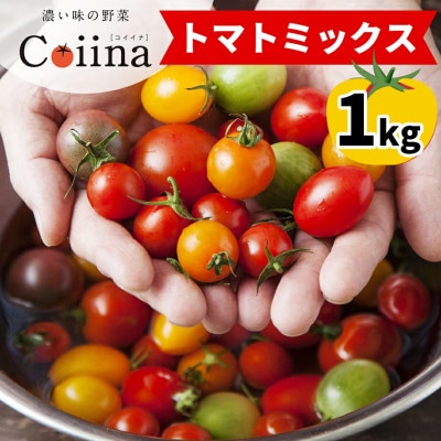 【先行予約】辻ファーム　Coiinaトマトミックス　厳選詰め合わせセット 1kg 神奈川県・伊勢原市