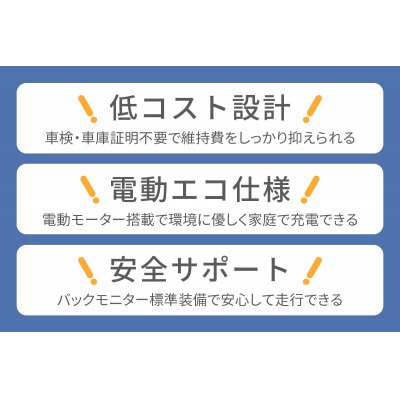 電動トゥクトゥク《VIVEL》TRUCK 1人乗り ホワイト