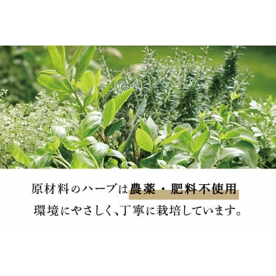 HAS 自然派ケア商品 詰め合わせ ギフトセット|ハーブ 石けん 洗剤 シャンプー 農薬不使用