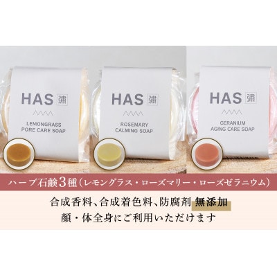 HAS 自然派ケア商品 詰め合わせ ギフトセット|ハーブ 石けん 洗剤 シャンプー 農薬不使用