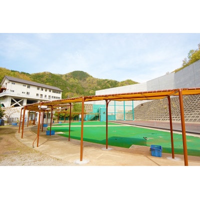 「伊勢原射撃場」クレー射撃 52ラウンド利用チケットセット (1ラウンド×52枚)