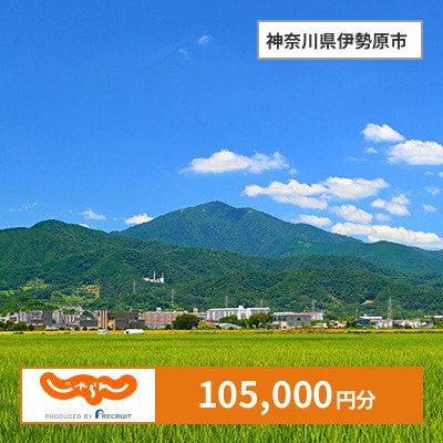 【じゃらんふるさと納税クーポン】 神奈川県伊勢原市でつかえる105,000円 クーポン