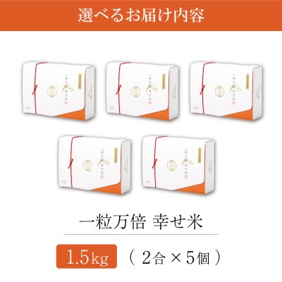 一粒万倍 幸せ米 コシヒカリ 2合×5個