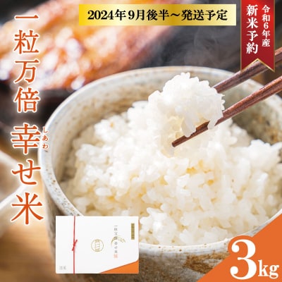 一粒万倍 幸せ米 コシヒカリ 2合×10個