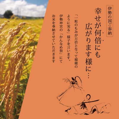 一粒万倍 幸せ米 コシヒカリ 5合×8個