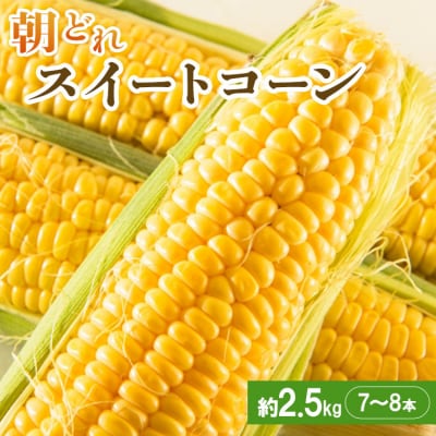 朝どれスイートコーン 2.5kg以上(7～8本) sy-0001