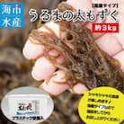 海市水産から直送する「うるまの太もずく約3kg(塩蔵)」沖縄もずく