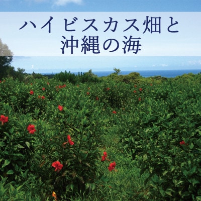 ぬちまーすの塩とハイビスカス「リュウミネシャンプー」×12本