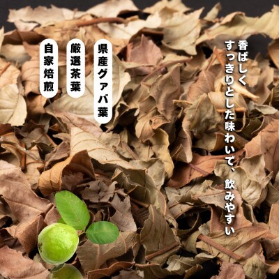 グァバ茶ペットボトル500ml(24本入り 1ケース)