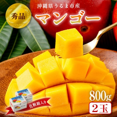 沖縄県うるま市産　完熟マンゴー　秀品　800g【2025年発送】